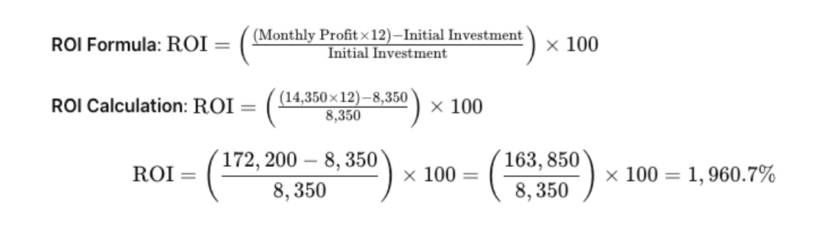 Minecraft PvP Server ROI Calculation